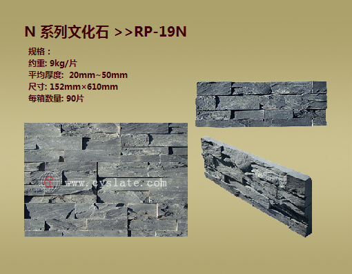 RP-19N