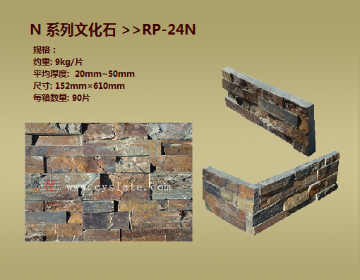 RP-24N