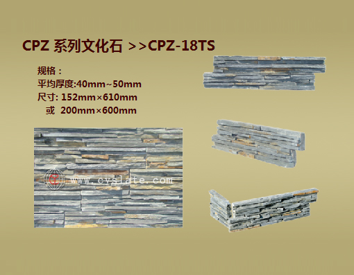 CPZ-18TS