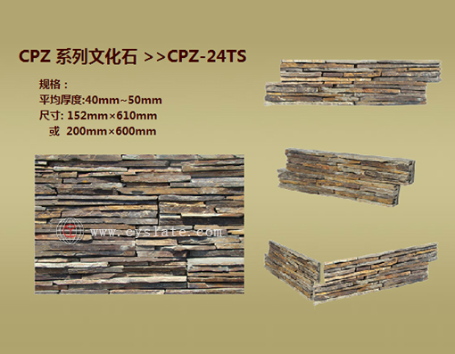 CPZ-24TS
