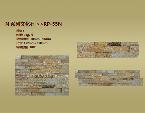 RP-55N