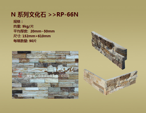 RP-66N