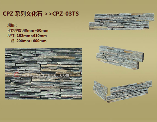CPZ-03TS