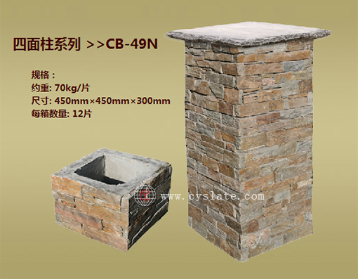 CB-49N