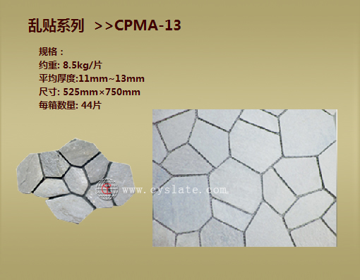CPMA-13N