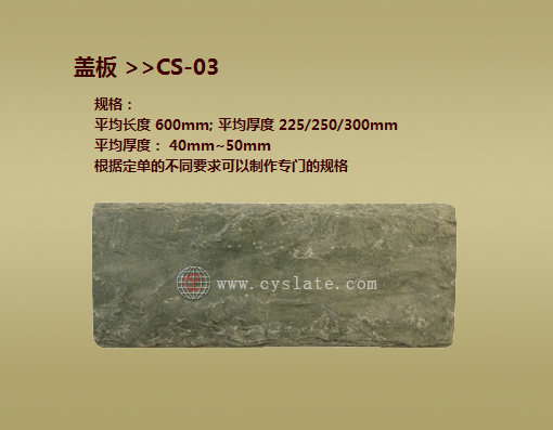CS-03