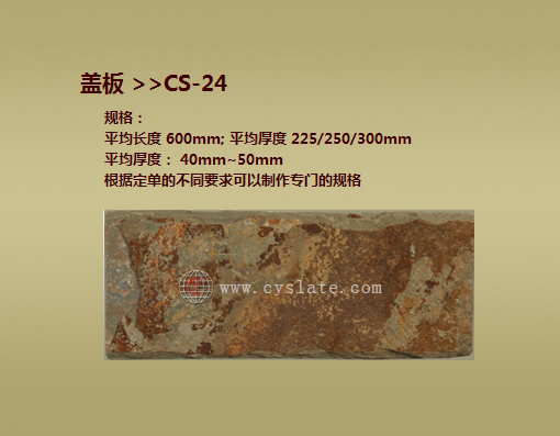 CS-24