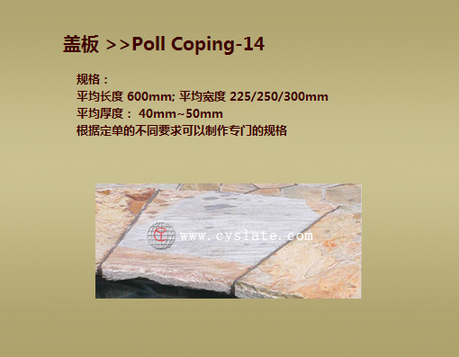 Poll Coping -14