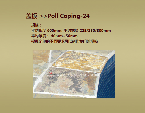 Poll Coping -24