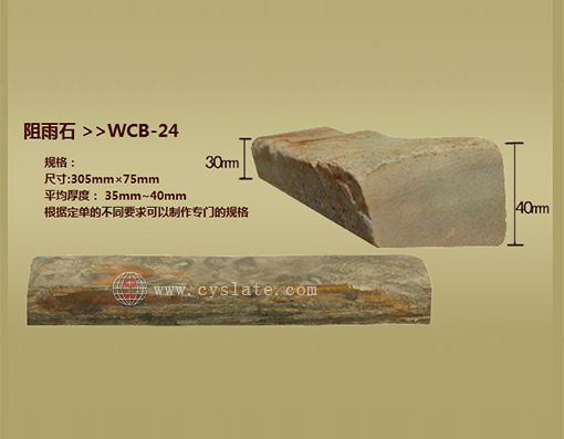 WCB-24
